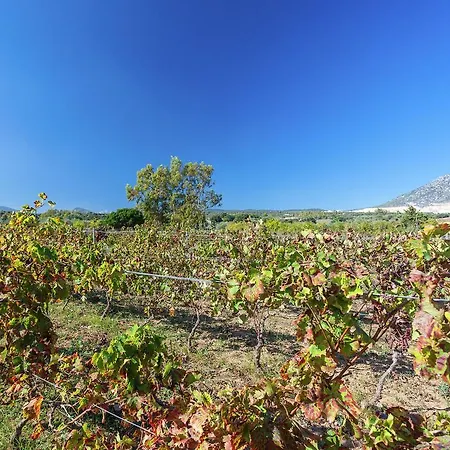 Holiday home Franca A Orosei